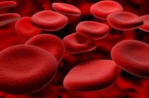 Anemia perniciosa: conceito, causas, sinais e sintomas, tratamento, preven&ccedil;&atilde;o, evolu&ccedil;&atilde;o e complica&ccedil;&otilde;es