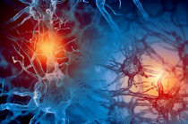 Como as fun&ccedil;&otilde;es do nosso corpo se comunicam? O papel dos neurotransmissores no organismo