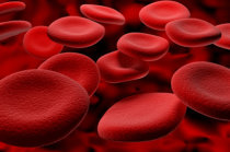 Como &eacute; a hemocromatose? Quais s&atilde;o as causas, os sintomas, como s&atilde;o feitos o diagn&oacute;stico e o tratamento?