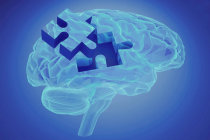 Dist&uacute;rbio neurocognitivo - conceito, causas, diagn&oacute;stico, tratamento, evolu&ccedil;&atilde;o