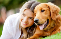 Hidatidose - sintomas, diagnóstico, prevenção, tratamento e evolução Hidatidose - sintomas, diagnóstico, prevenção, tratamento e evolução