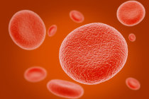 Linfo-histiocitose hemofagoc&iacute;tica: a tempestade imunol&oacute;gica que amea&ccedil;a a vida