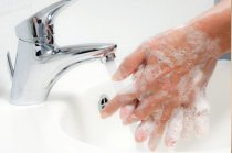 Saiba mais sobre os agentes infecciosos