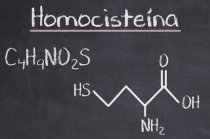 Hiper-homocisteinemia - o que &eacute; isso?