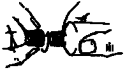 Gynopac