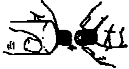 Gynopac